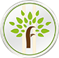 buy forestcoin